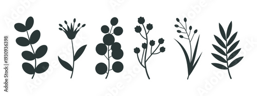 A collection of various plants and flowers in black and white isolated on white background, Vector, illustration