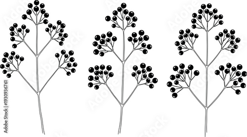 Botanical Berry Branch Silhouette Vector Set with Black Wild Plant Stems and Round Berries for Nature, Floral, and Decorative Design Projects