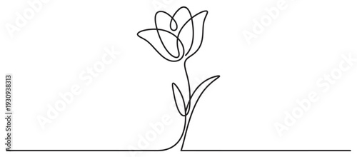 Beautiful tulip flower is elegantly drawn in a continuous single line art style, symbolizing natural beauty and simplicity.