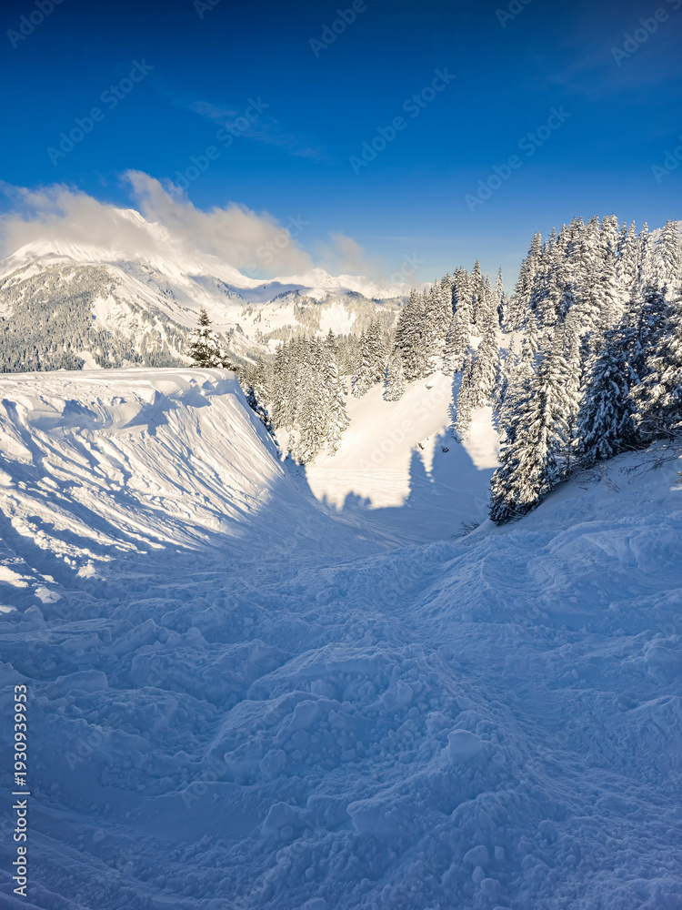 Fototapeta premium off piste ski valley
