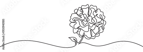 Abstract continuous line drawing of a flower with a single leaf and stem, forming an elegant minimalist artistic design.