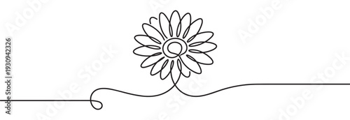Continuous line drawing of a beautiful flower blooming gracefully with elegant petals and a simple artistic style.