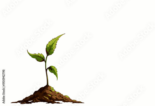 Vibrant green plant seedling with delicate leaves emerging from rich soil against a bright white background, symbolizing growth and new beginnings