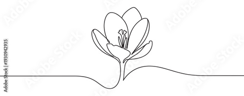 Single continuous line art flower illustration blooming beautifully with elegant simplicity and minimalist design.