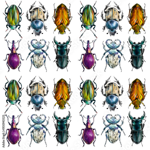 seamless pattern with hand drawn exotic beatles, drawing of colorful decorative bugs, digital Illustration 