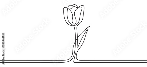Single continuous line art tulip flower drawing with a minimalist aesthetic for elegant graphic design projects.