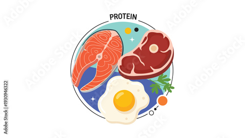 Educational diagram displaying various high protein food sources including a salmon steak, beef meat, and a fried egg in a circle.