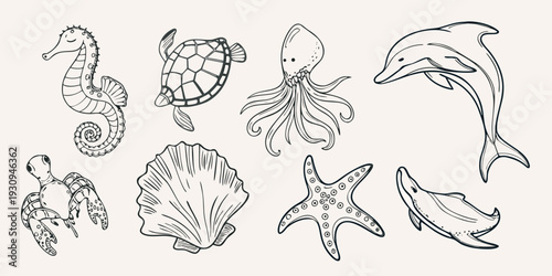 A collection of hand drawn marine life and seashell illustrations
