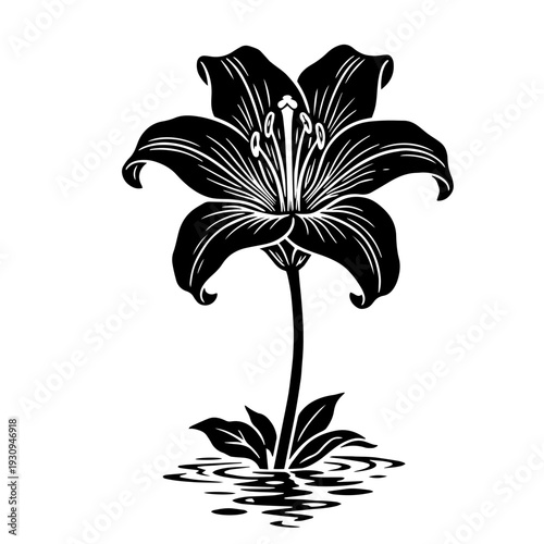 Striking black and white vector illustration of a single elegant lily flower standing tall above stylized water ripples and leaves