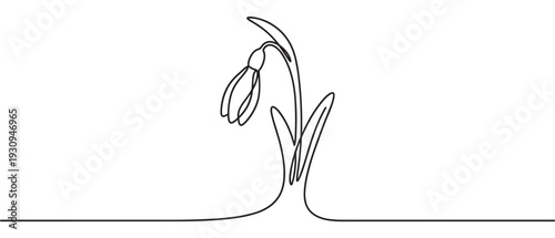 Snowdrop flower continuous line drawing elegant minimalist design captures the delicate beauty of early spring bloom.