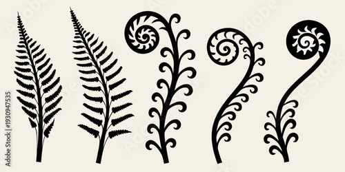 Stylized fern fronds and spirals in a black and white illustration