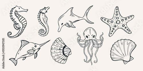 A collection of hand drawn marine life illustrations in black and white