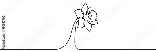 Daffodil flower is elegantly drawn in a continuous single line art style, showcasing minimalist beauty and spring essence.