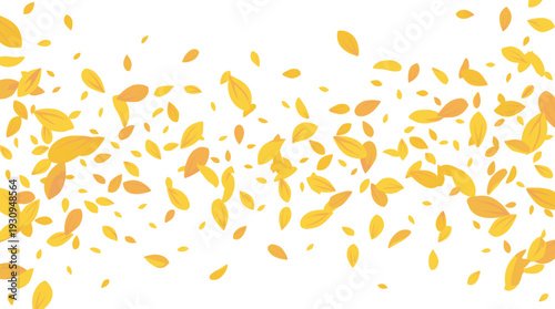 Yellow petals falling gently across the frame create a vibrant and cheerful decorative border suitable for spring and summer designs.