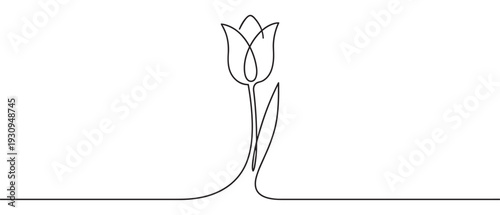 Beautiful minimalist continuous line art drawing of a tulip flower, representing spring, growth, and natural elegance in a modern style.
