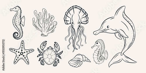 Line art illustration of various marine life and ocean creatures