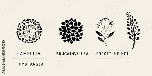 Botanical illustration featuring camellia bougainvillea forget me not and hydrangea
