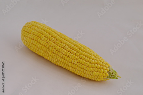 View of corn or corn cob in milky maturity without leaves, Sofia, Bulgaria 