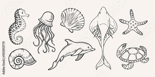 Line art illustration of various marine life including seahorses and sharks