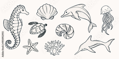 Hand drawn collection of marine life including seahorses shells and dolphins