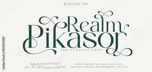 Realm Pikasor,Luxury wedding alphabet letters font with tails. Typography elegant classic serif fonts and number decorative vintage retro concept for logo branding. vector illustration