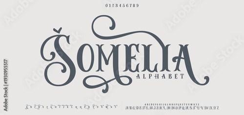 SOMELLA Beauty Luxury font alphabet logo. Typography beautiful fashion elegant classic letters serif italic fonts decorative wedding vintage retro logos. vector illustration