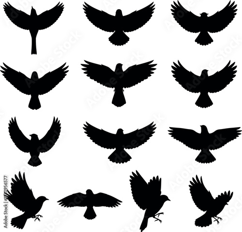 Dynamic black silhouettes of birds of prey in flight, showcasing spread wings and powerful motion.