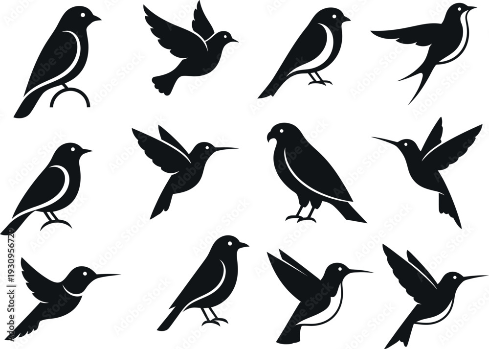 Fototapeta premium Collection of diverse bird silhouettes in various poses: perched, flying, singing. Ideal for graphic design and icons.