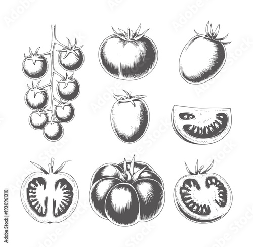 Black and white of various tomatoes white vintage food ingredient