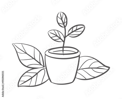 Simple black and white line of a potted plant with leaves seedling growth