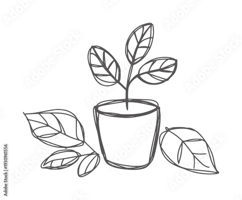 Simple black and white line of a potted plant with leaves