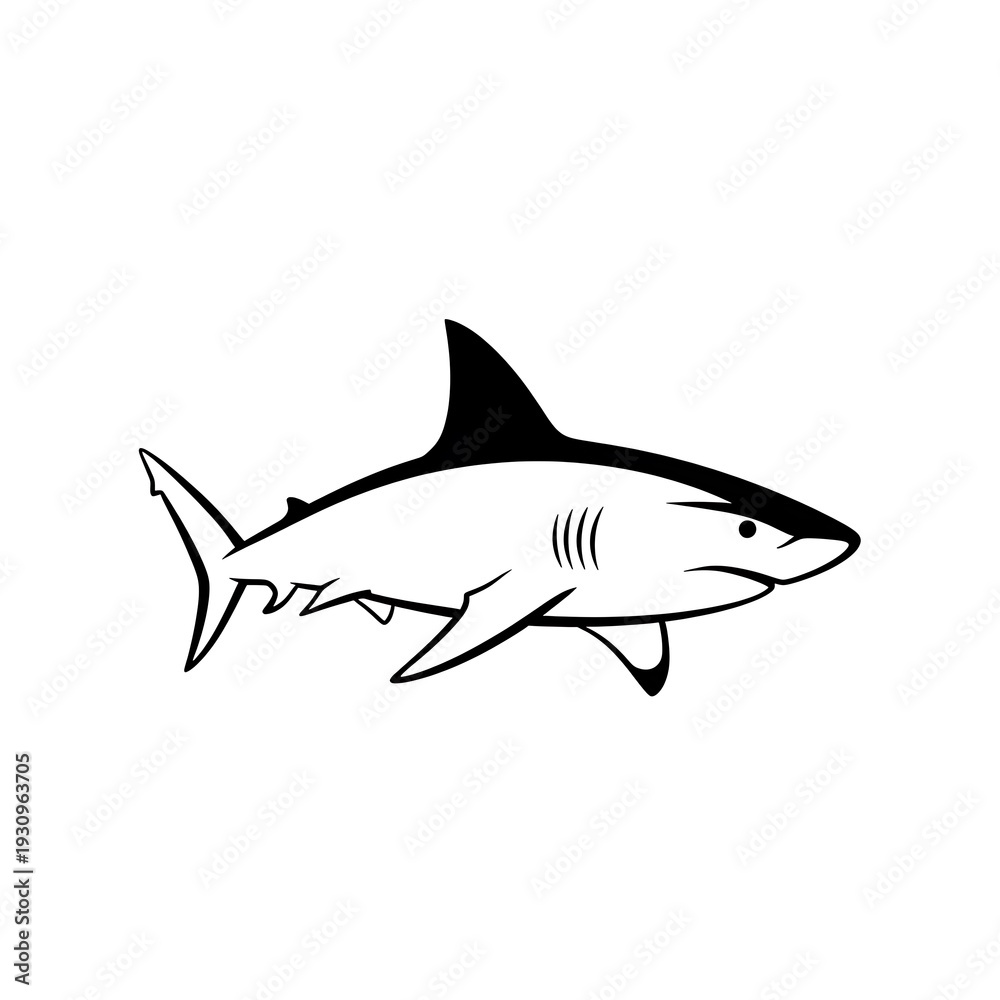 Fototapeta premium Black and white shark drawing isolated.