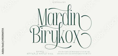 Modern and Elegant Fonts. Beauty Luxury font alphabet logo. Typography beautiful fashion elegant classic letters serif italic fonts decorative wedding vintage blossom logos. vector illustration