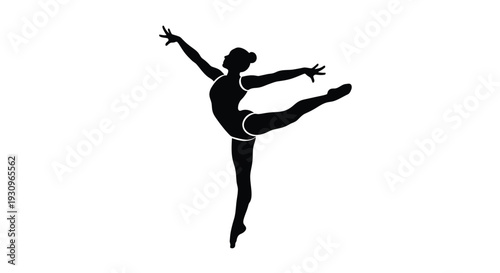 A graceful dancer strikes a pose captured in a striking silhouette