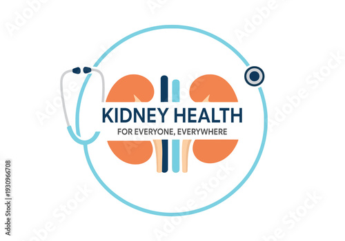 Chronic Kidney Health Awareness Medical Graphic for Healthcare Providers Hospitals and Global Nephrology Patient Care Education Programs