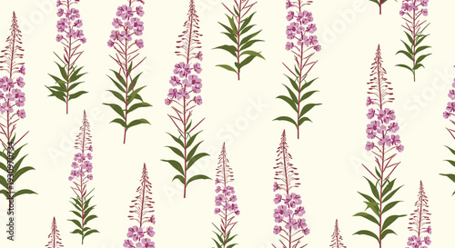 Seamless botanical pattern of tall pink fireweed or rosebay willowherb flowers on a light cream-colored background design.