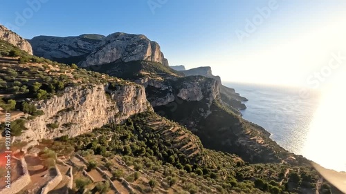 Wallpaper Mural Terraced mountainside with olive groves overlooking the sea at golden hour Torontodigital.ca
