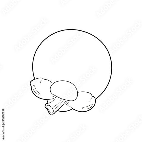 Simple Line Drawing of Mushrooms.