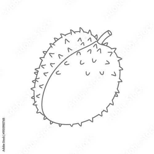 Simple Line Drawing of Chestnut.