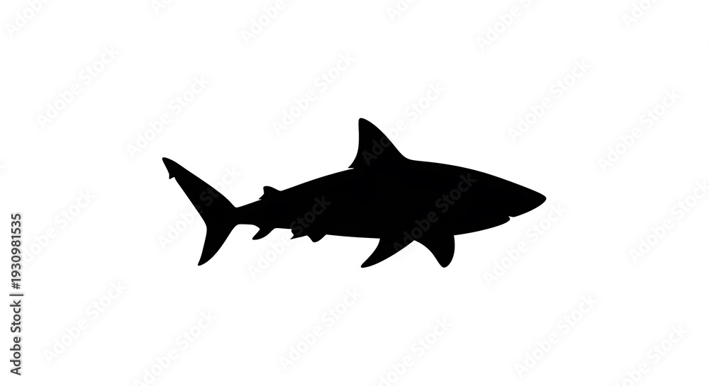 Fototapeta premium Black silhouette of a shark swimming.