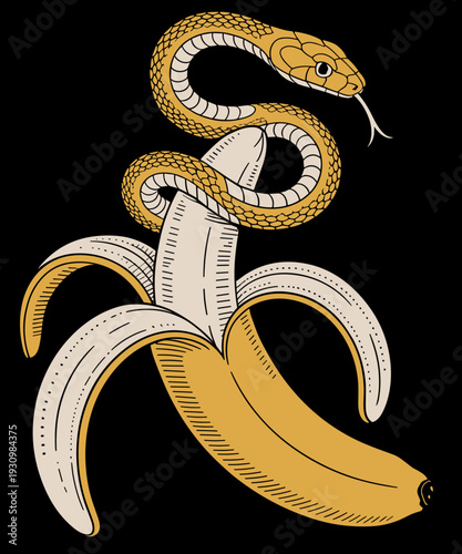 Funny Cute Ball Python Snake Reptile Herpetologist Ophiology