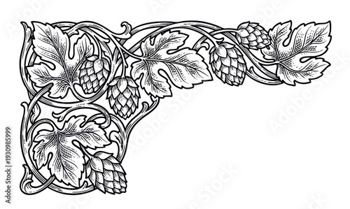 Ornamental hop branch with cones, classic line art for beer branding.