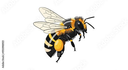 Bee Flying Insect Closeup.