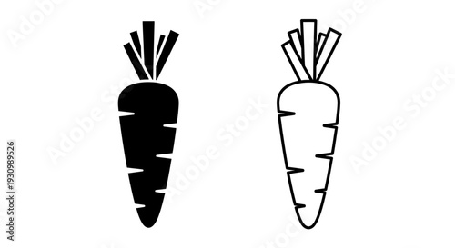 Two carrots with green leaves on white background Vector