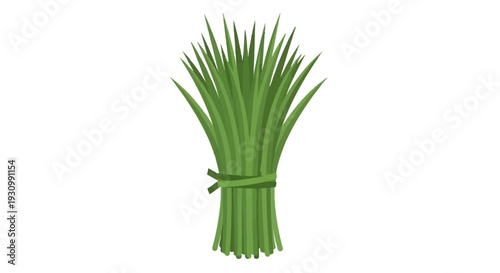 Bunch of green lemongrass.