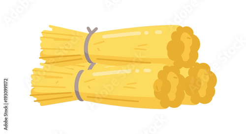 Bunches of Yellow Asparagus.