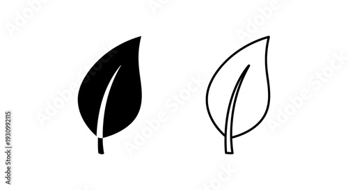 Two contrasting leaf designs: minimalist black and white line art illustration Vector