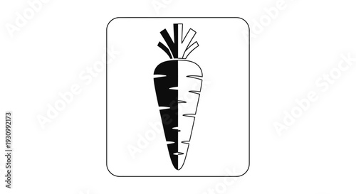 Carrot illustration, vegetable drawing, plant icon, food design, fresh produce Vector