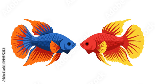 Colorful Fish Facing Each Other.