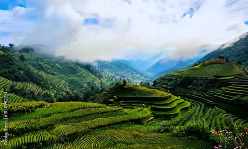 Pemandangan di pegunungan yang luas, langit biru,awan putih,terasiring di bukit 